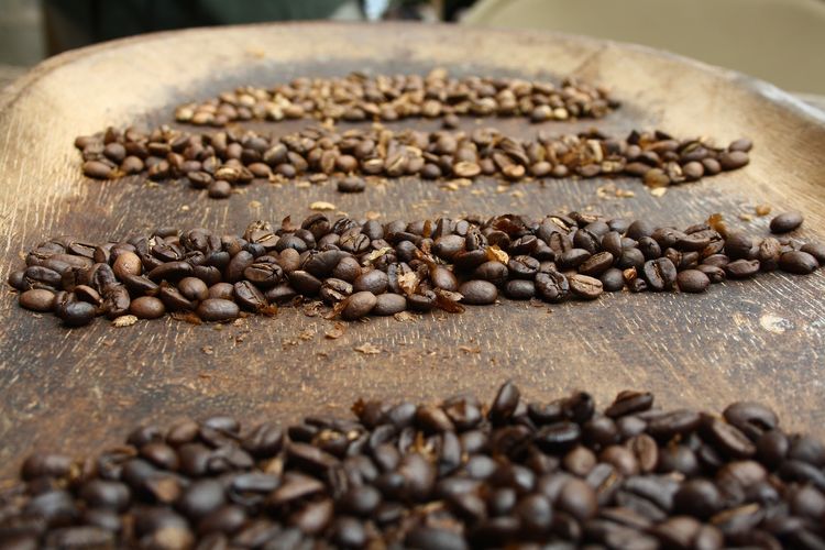 Kaffeeplantage