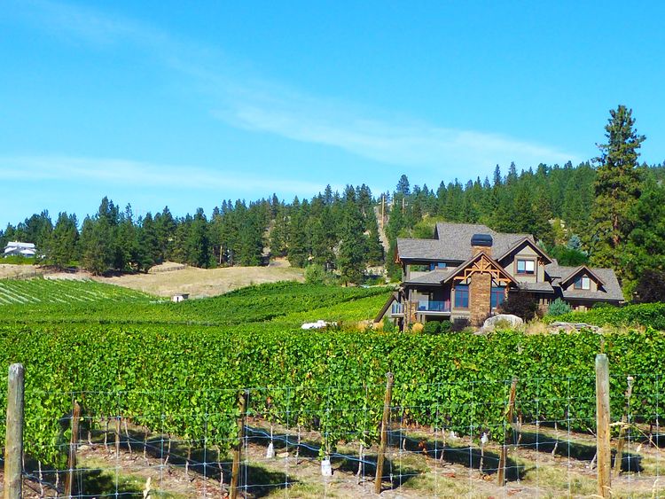 Weinbau