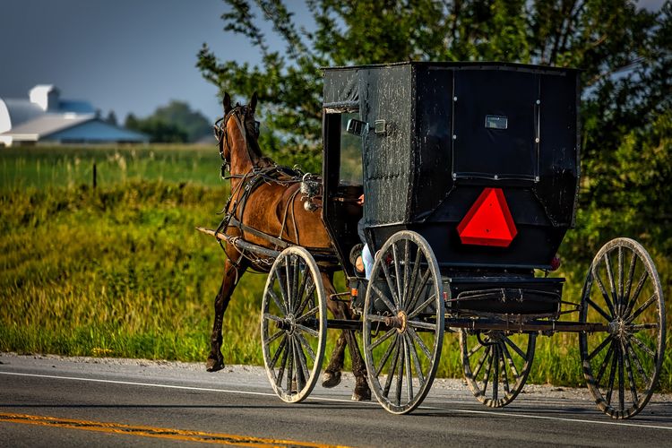 Mennoniten