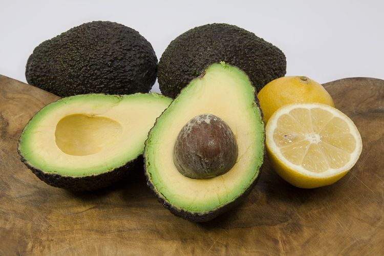 Avocadoanbau
