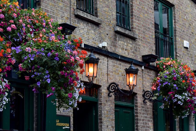 Pub in Irland