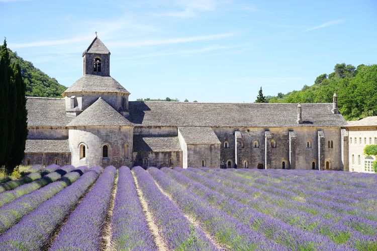 Kloster Senanque