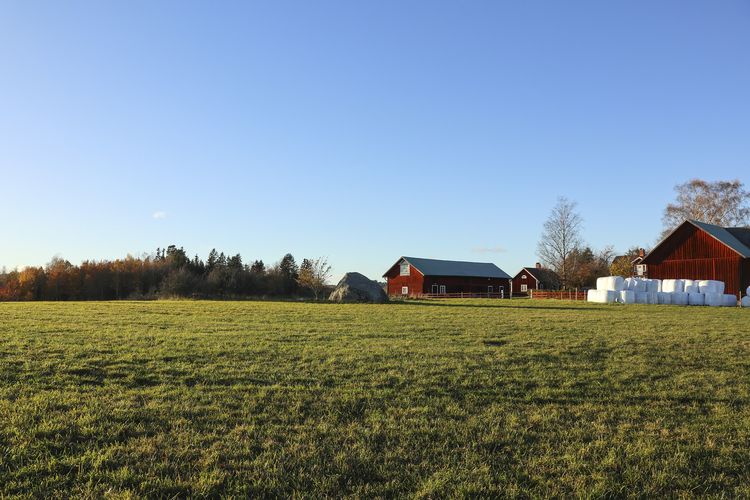 Landwirtschaft in Schweden