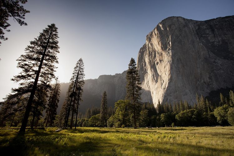 Yosemite Park