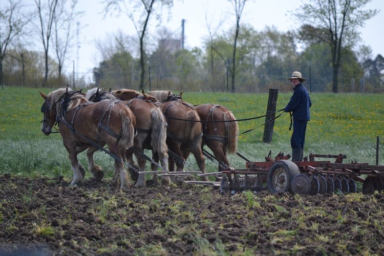 Mennoniten