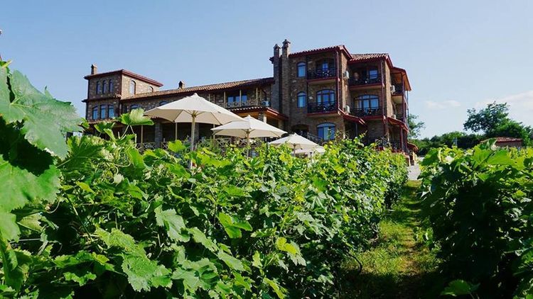 Weingut Schuchmann