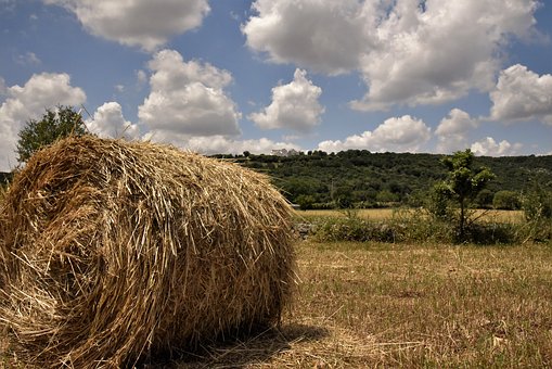 Apulische Landschaft