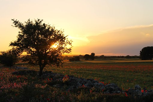 Apulische Landschaft